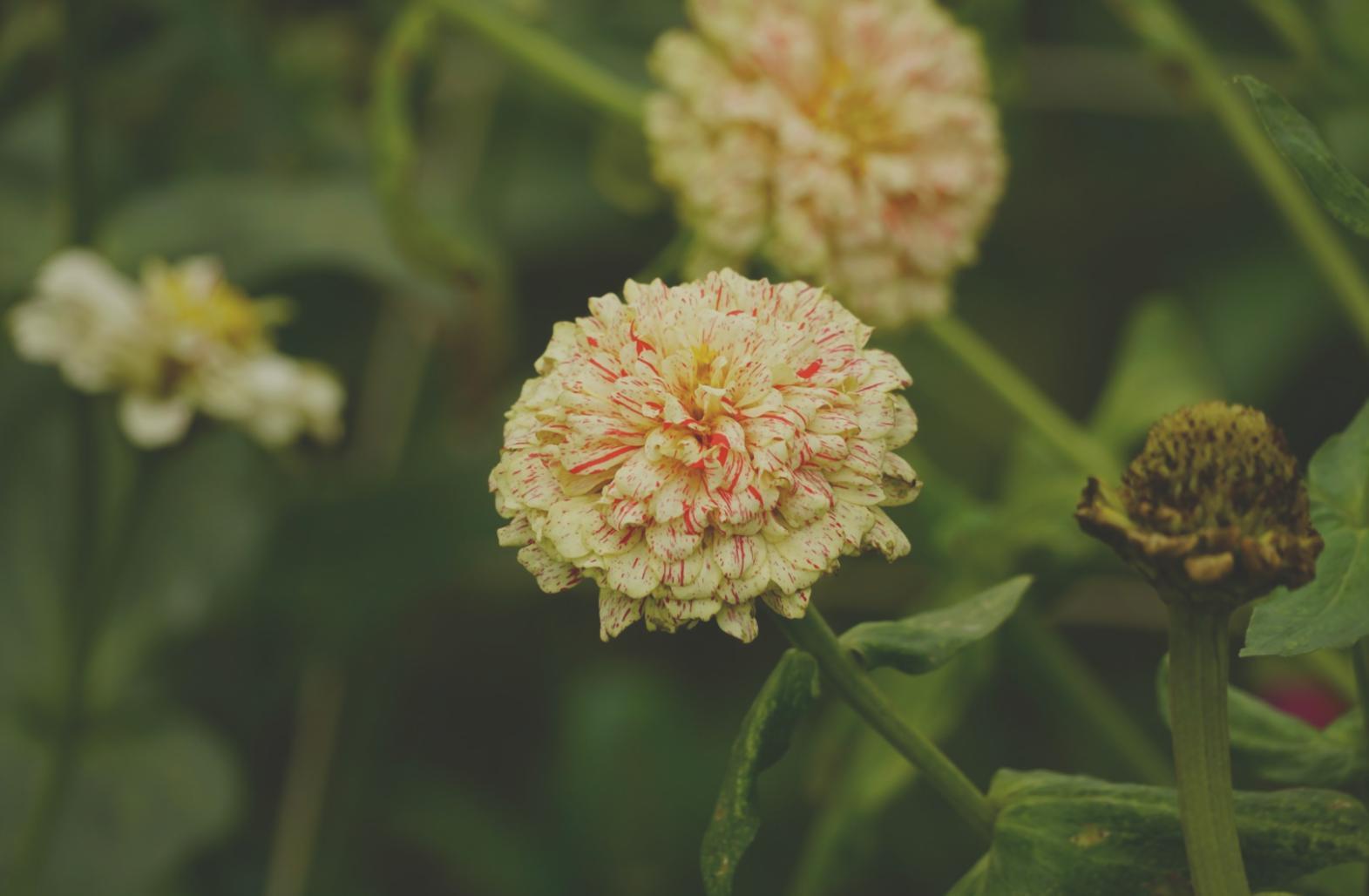 Estudiante practicando técnicas avanzadas de diseño floral en nuestro taller especializado